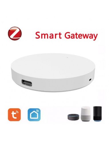 Gateway Pasarela Internet Smart  BLANCO  Mini USB
